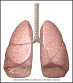 Lung